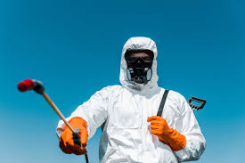 Best Residential Pest Control  in Celoron, NY